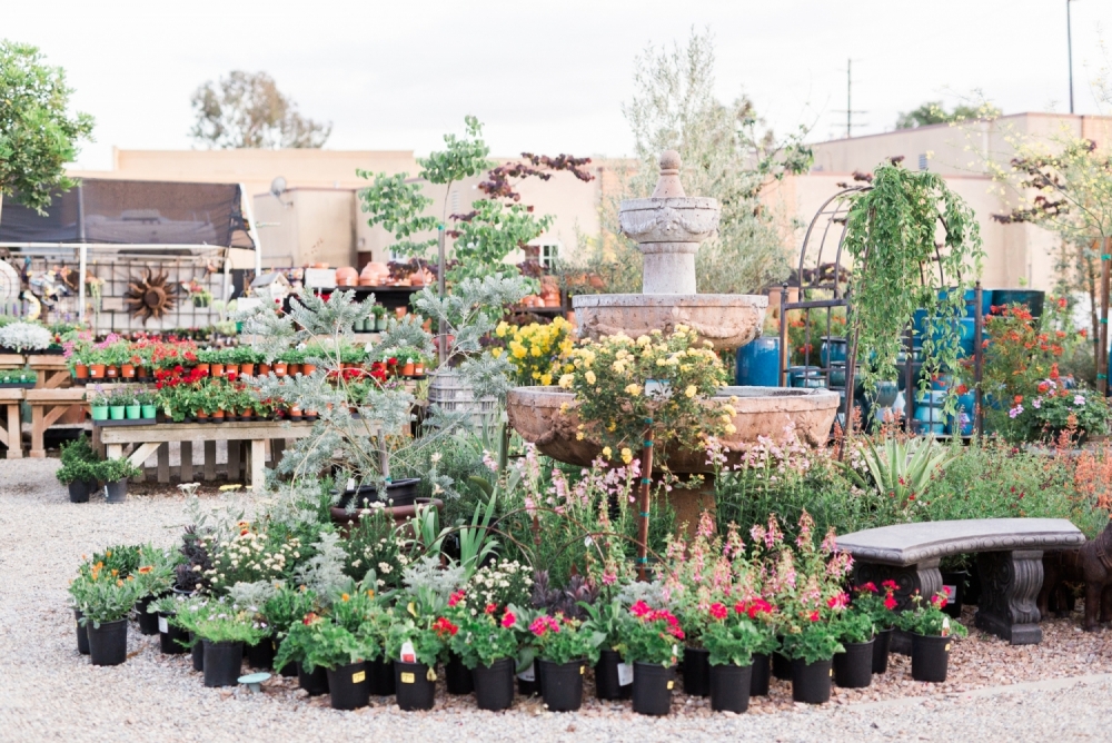 Garden fountain and flowers