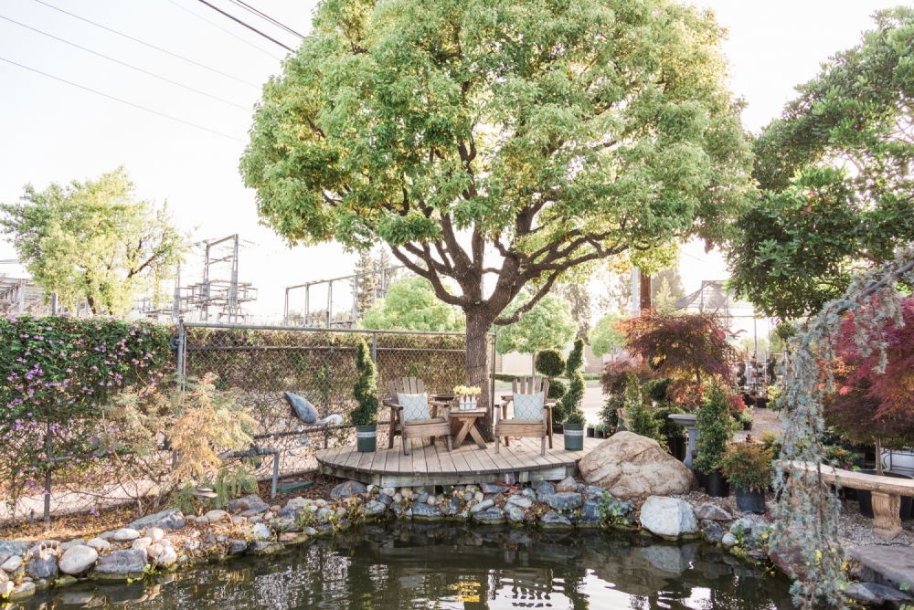 Patio set under tree and by pond