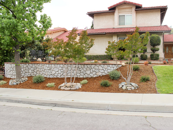 Front Yard Makeover Street View