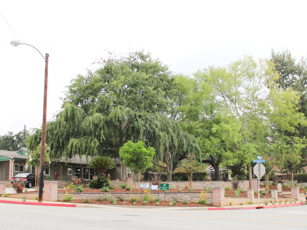 Front Yard Redesign Street View