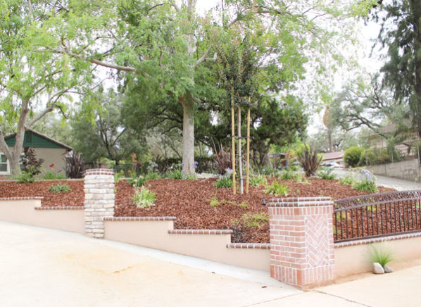 Front Yard Redesign Front Yard Redesign