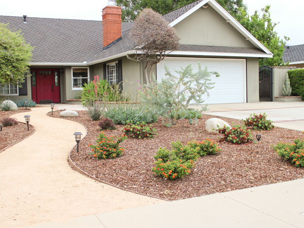 Landscape Makeover