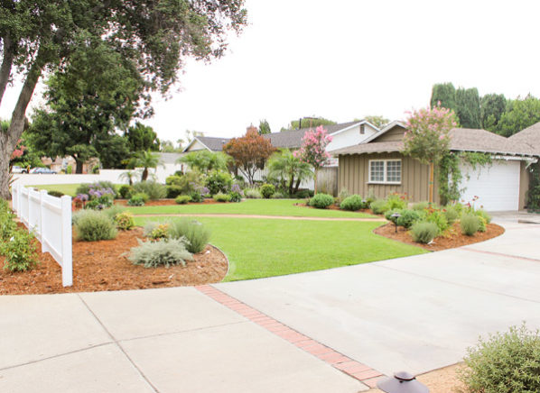 Landscape Makeover Projects Lawn view