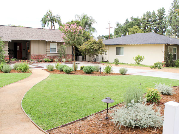 Front lawn view