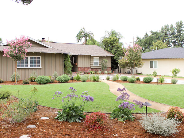 Front lawn view