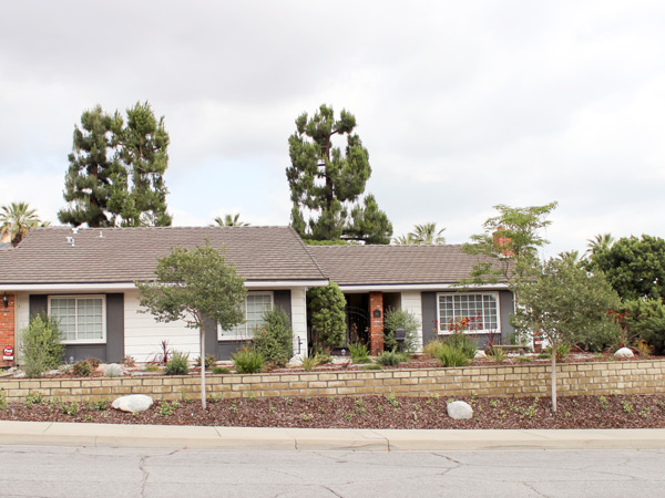 Turf Removal & Landscape Redesign Street View