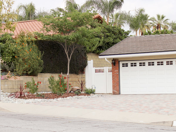 Turf Removal & Landscape Redesign Street View