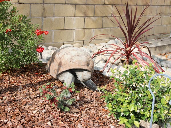 Turtle Garden decor