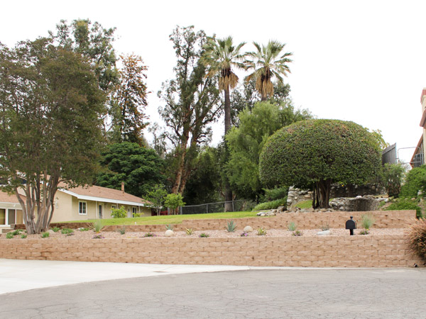 Turf Removal & Lawn Makeover Street View