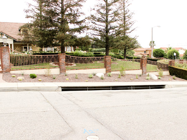 Turf Removal With Redesign Gated Street View