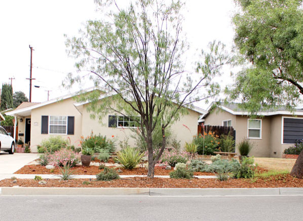 Water Wise Garden Makeover Water Wise Lawn Makeover Street View