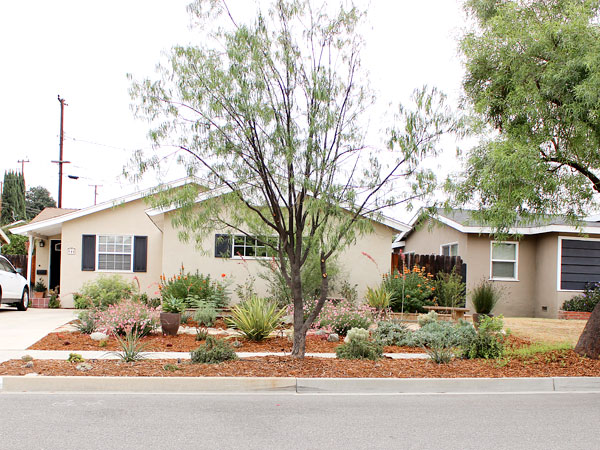 Water Wise Lawn Makeover Street View