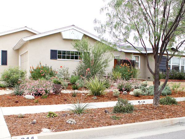 Water Wise Lawn Makeover Street View