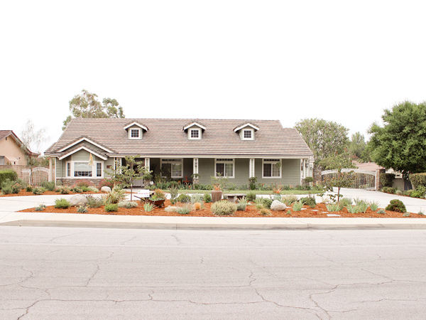 Water Wise Lawn Makeover Street View