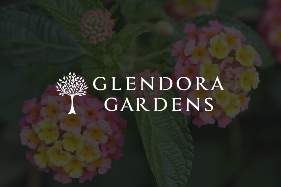 GeneralPlaceholder-Graphic