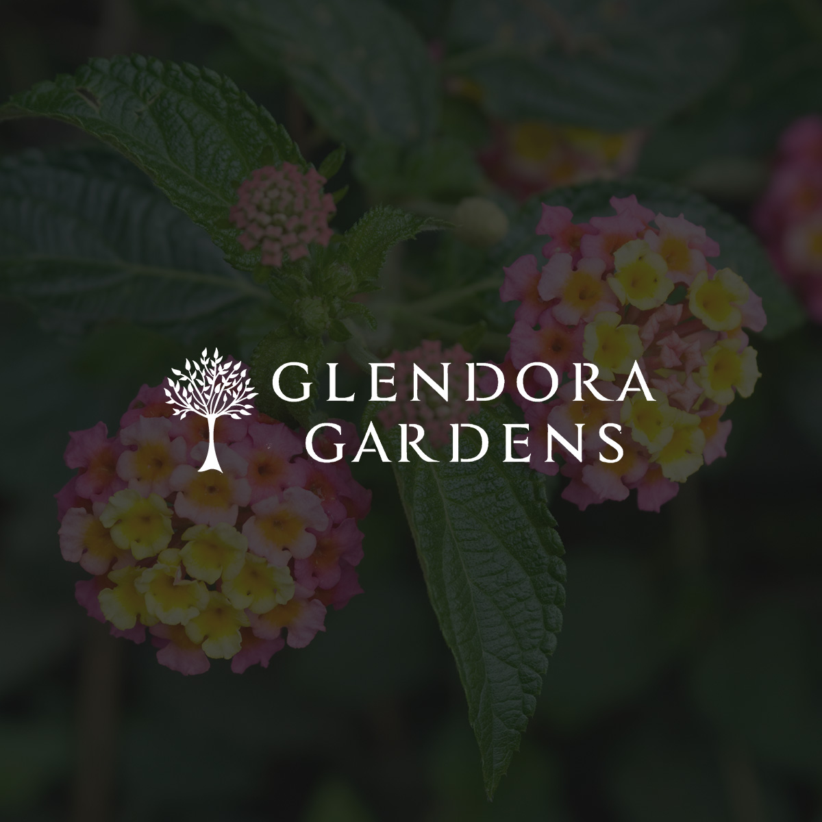 the-rain-barrel-rebate-program-glendora-gardens-nursery