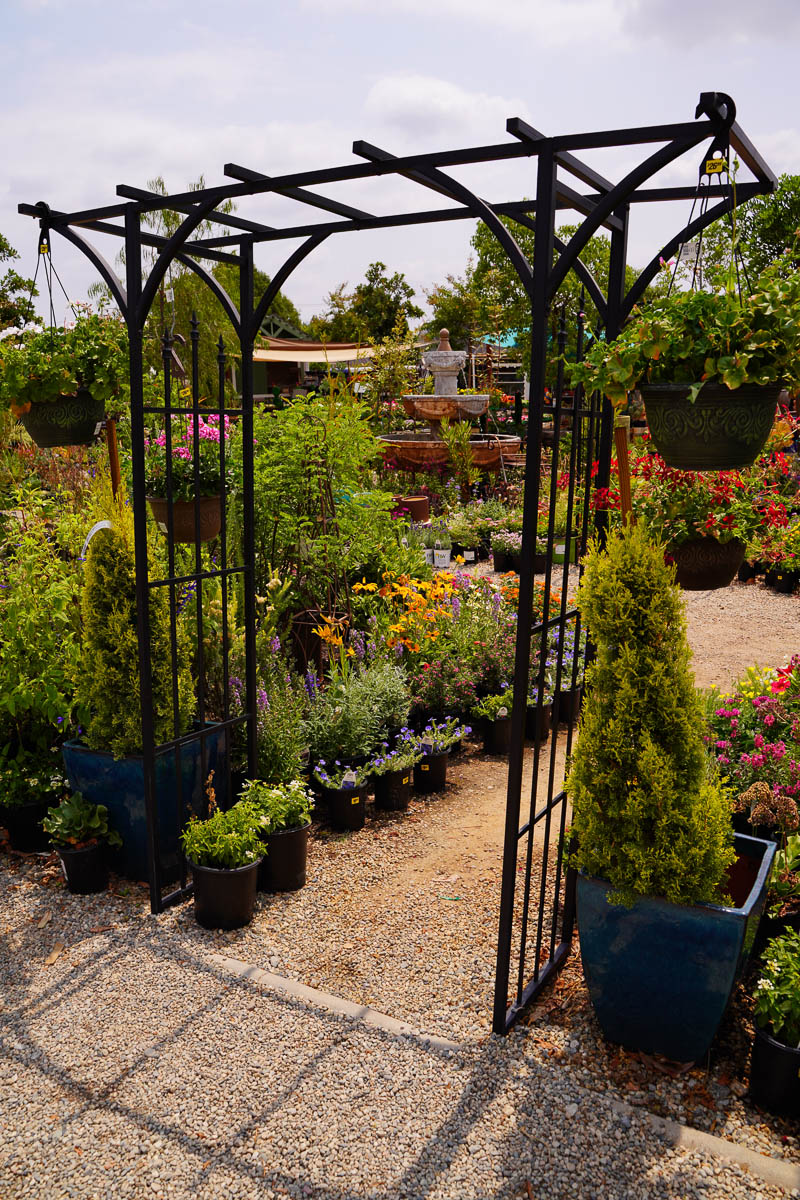 square terrace archway