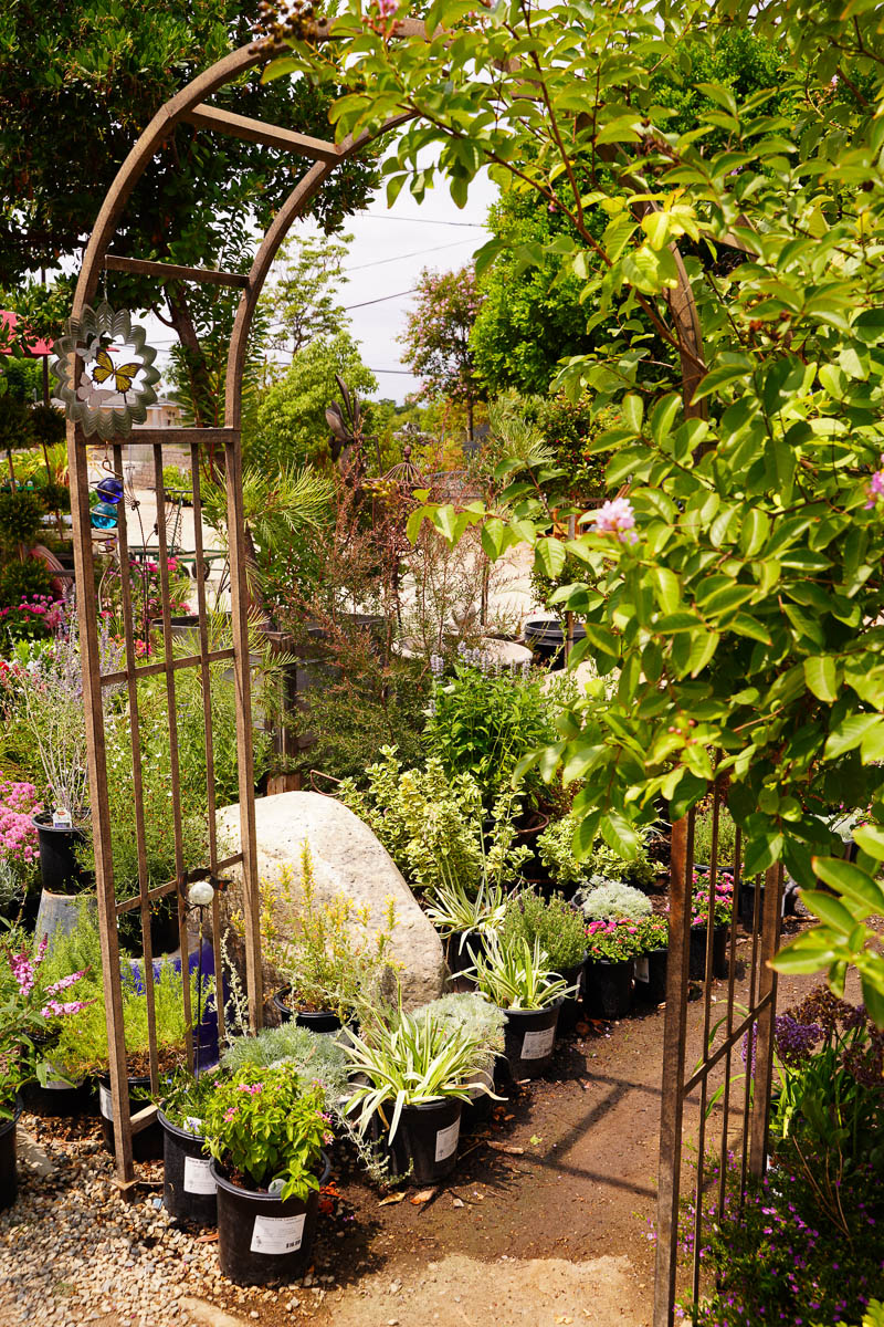 terrace archway