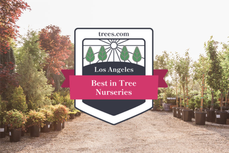 Glendora Gardens Named Best Tree Nursery in Los Angeles