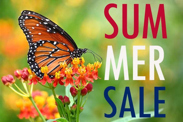 Fourth of July Summer Sale